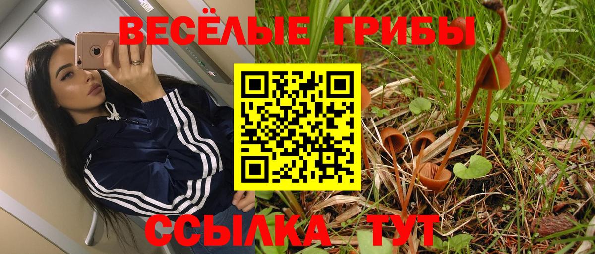 Гагарин  Галлюциногенные грибы Psilocybine cubensis  Галлюциногенные грибы MAGIC MUSHROOMS  Вход с VPN 