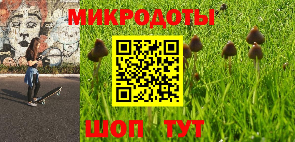 Галлюциногенные грибы Psilocybine cubensis Гагарин