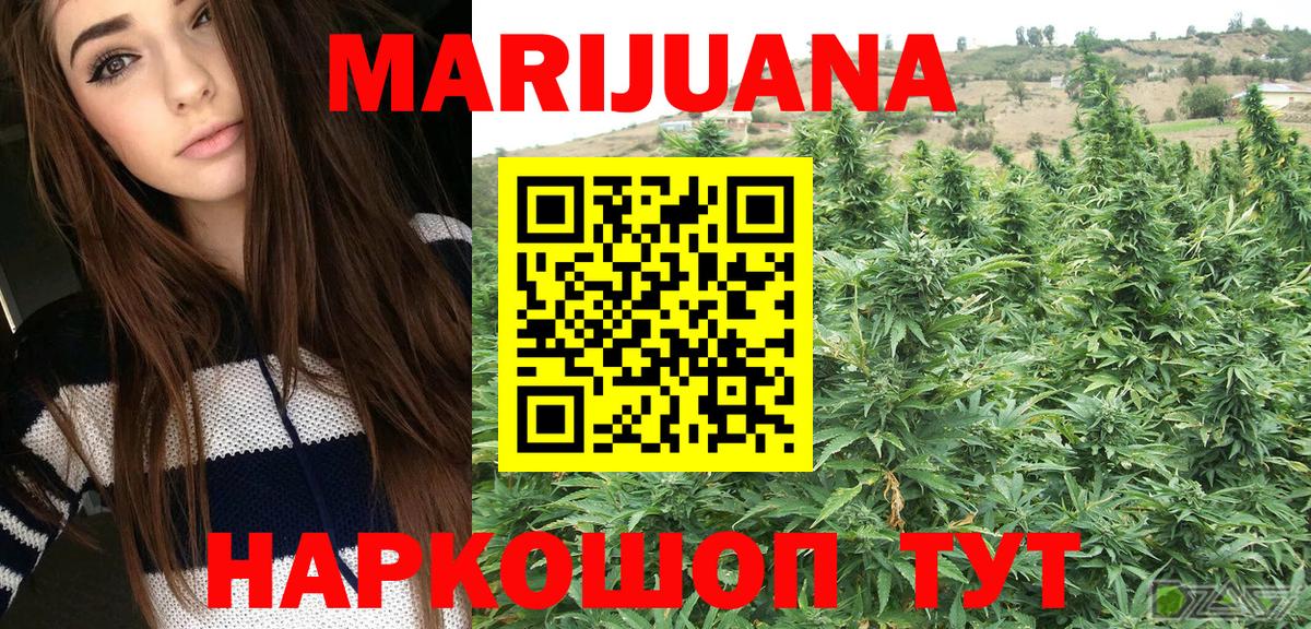 Шишки марихуана планчик  МАРИХУАНА SATIVA & INDICA  МАРИХУАНА планчик  Гагарин 